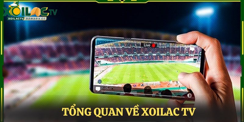 Tổng quan về XoilacTV